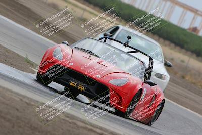 media/Jul-31-2022-Speed Ventures (Sun) [[bfb4b6530b]]/Black Group/Grapevine/